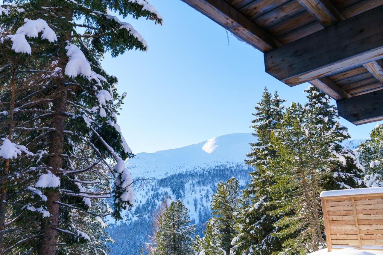 Luxalps- Turrach Alm Chalets Nr 1-4 Gruensee- Sauna- Skifahren- Wandern- Natur Turracher Höhe Buitenkant foto