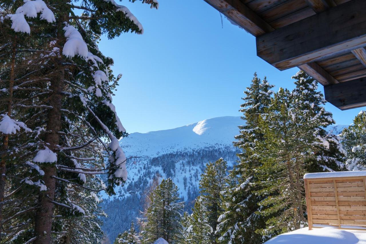 Luxalps- Turrach Alm Chalets Nr 1-4 Gruensee- Sauna- Skifahren- Wandern- Natur Turracher Höhe Buitenkant foto